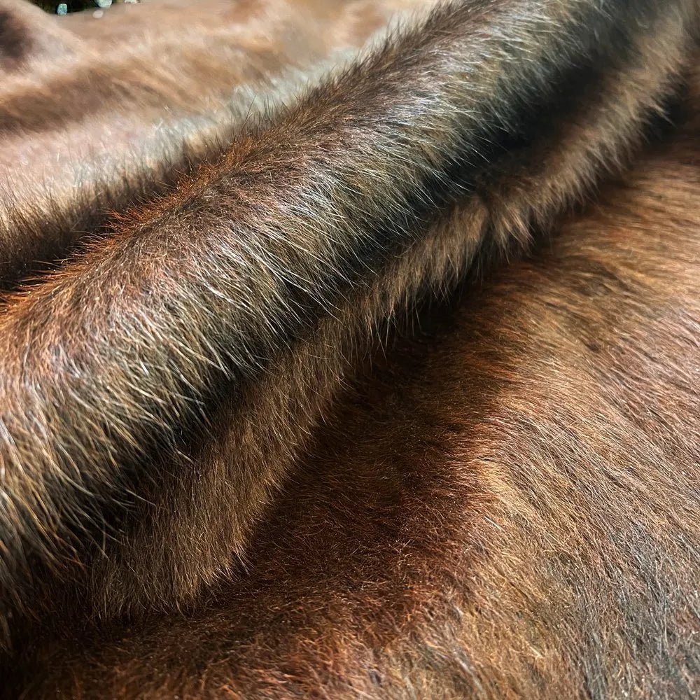 Brown and Black Cowhide Rug