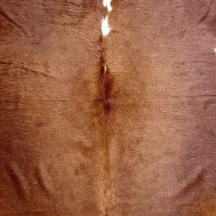 Brown and White Cowhide Size 6x 6ft - 5187