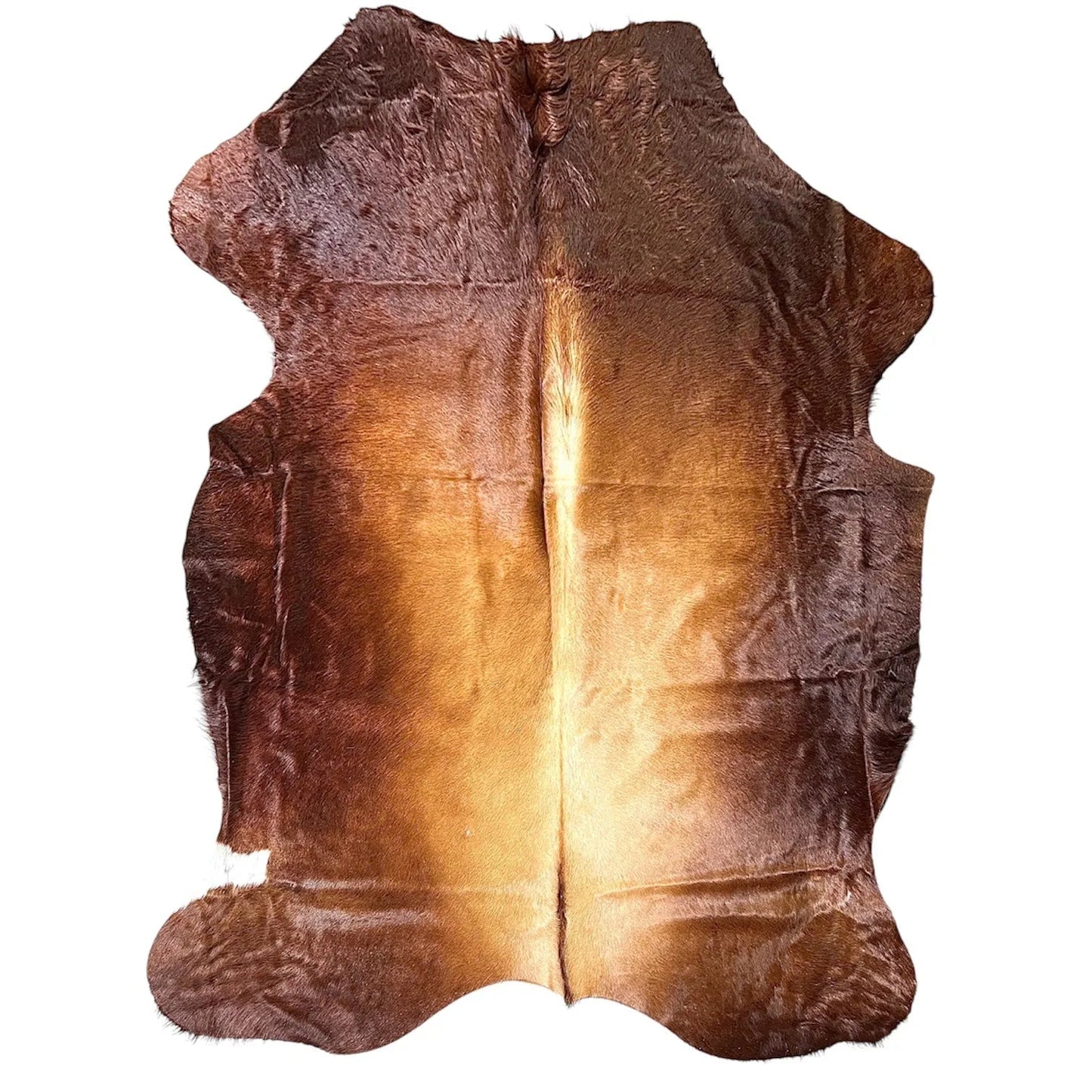 Extra Large Brown and White Cowhide Rug L354 - 5.6x 7.6 ft