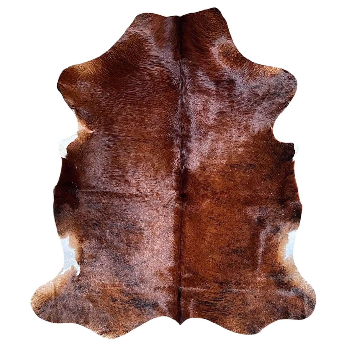 Large Brindle Cowhide Rug E231 - 5.6x6