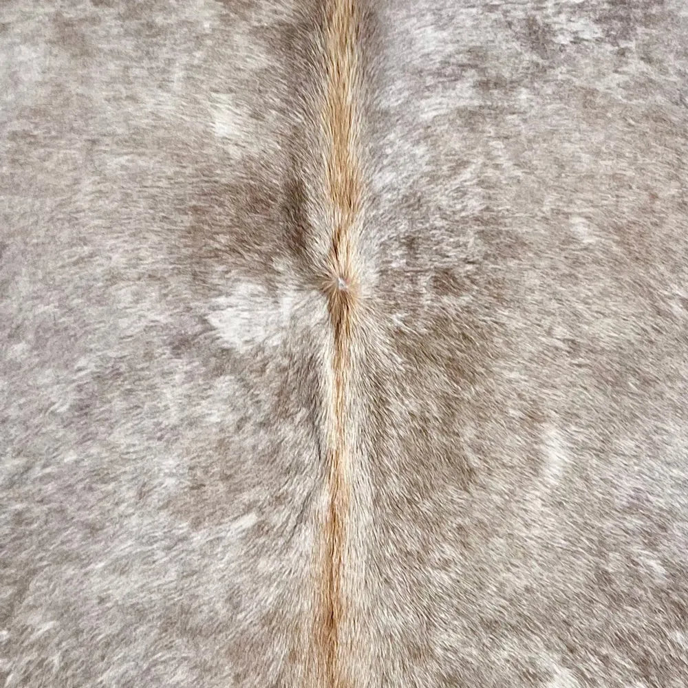 Large Taupe Size 5.8x7 ft - 5113