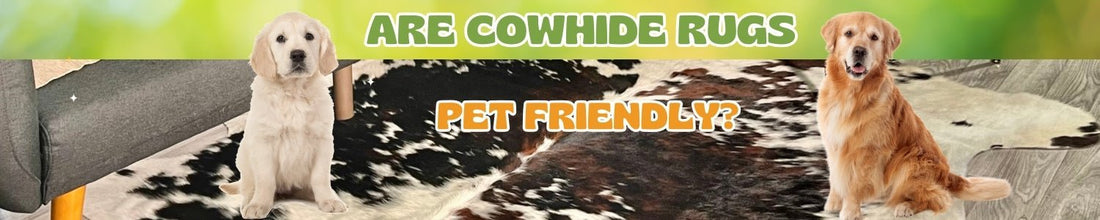 Are Cowhide Rugs Pet Friendly? - Rodeo Cowhide Rugs