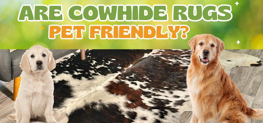 Are Cowhide Rugs Pet Friendly? - Rodeo Cowhide Rugs