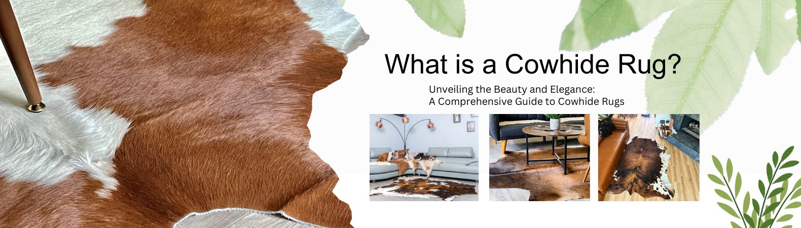 What is a Cowhide Rug? Unveiling the Beauty and Elegance: A Comprehens