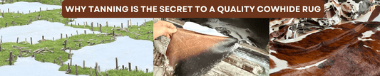 Why Tanning Is the Secret to a Quality Cowhide Rug - Rodeo Cowhide Rugs
