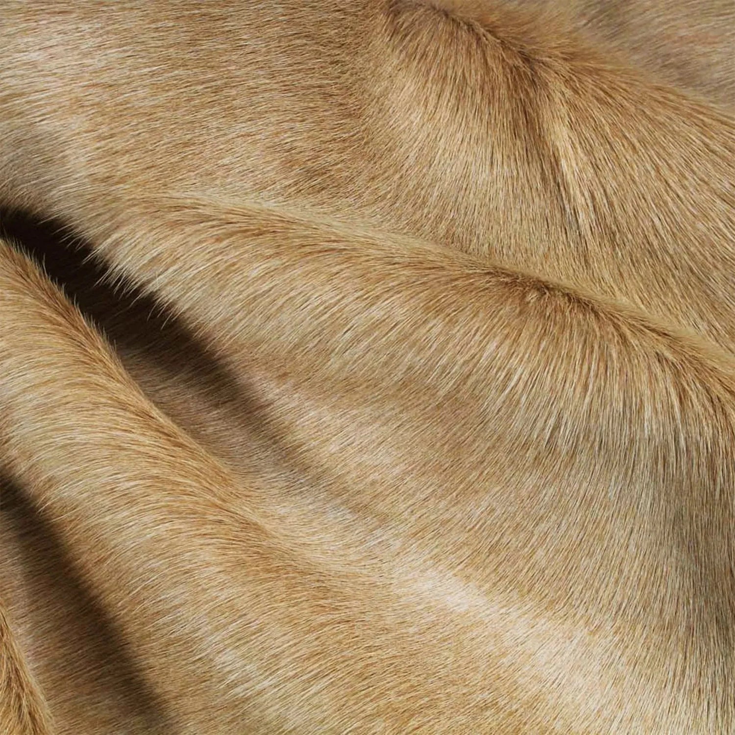 RODEO Solid Color Cowhide Rugs - Rodeo Cowhide Rugs