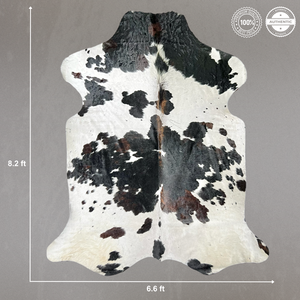 Extra Large Tricolor Cowhide Rug Size 6.6 x 8.2 ft ---5344P