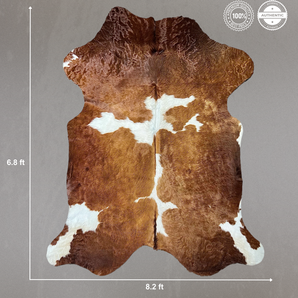 Extra Large Brown and White Cowhide Rug Size 6.8 x8.2 ft ---5380S