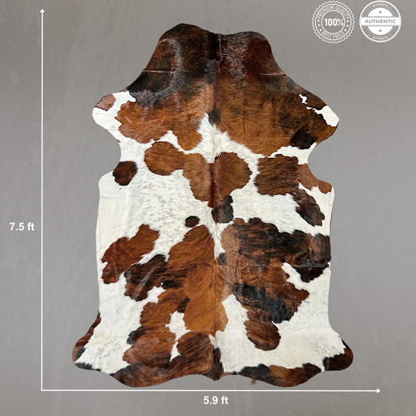 Extra Large Tricolor Cowhide Rug Size 5.9 x7.5 ft ---5384S
