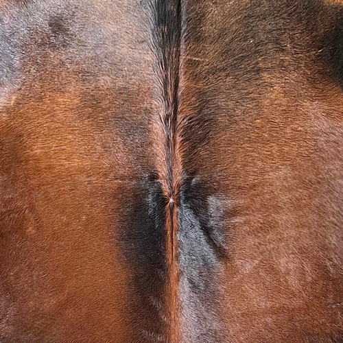 Large Black Reddish Cowhide Rug Size 5.10 x 7.1 ft ---5374