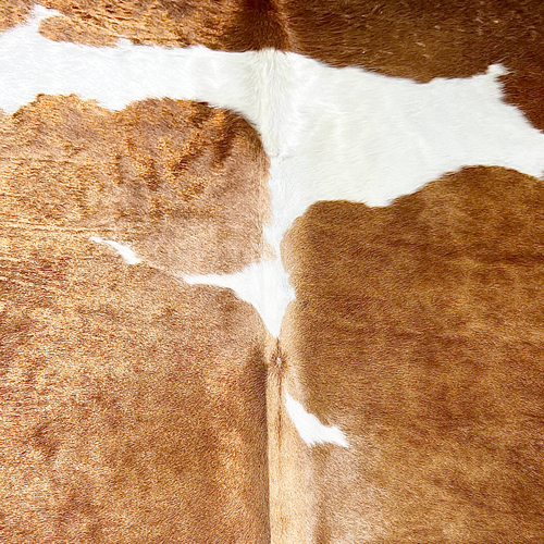 Extra Large Brown and White Cowhide Rug Size 6.10 x 8 ft ---5363Q