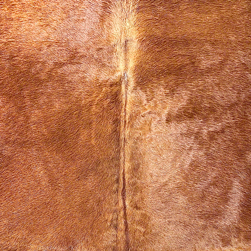 Large Brown Cowhide Rug Size 5.11 x 7 ft ---5367J