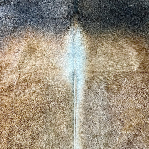 Large Brown Cowhide Rug Size 5.8 x6.5 ft ---5381S