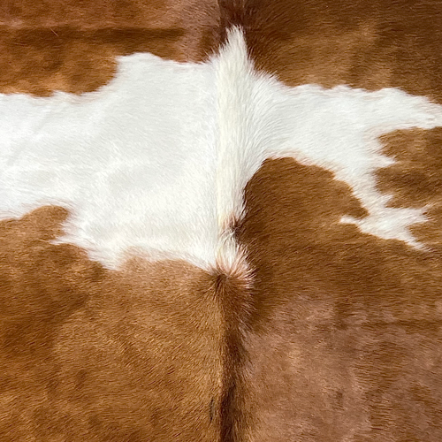 Extra Large Brown and White Cowhide Rug Size 6.2 x7.5 ft ---5385S