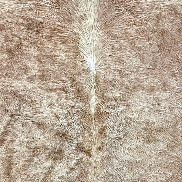 Extra Large Brown Cowhide Rug Size 5.7 x 7.4 ft---5077