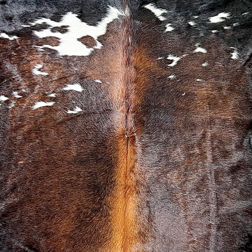 Large  Cowhide Rug Size 5.7x 6.9 ft ---5339O
