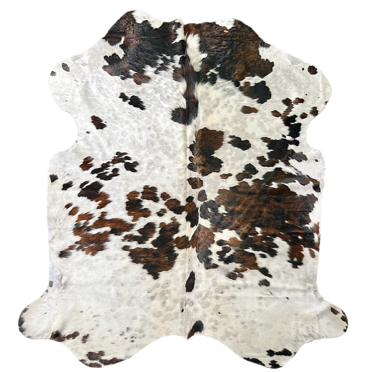 Large tricolor for sale