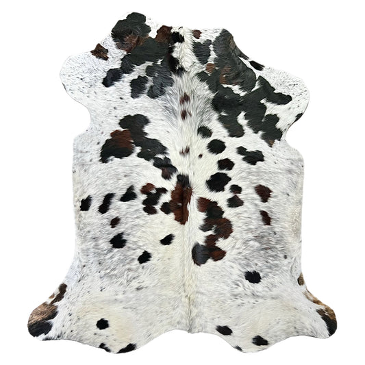 Large tricolor for sale DFW