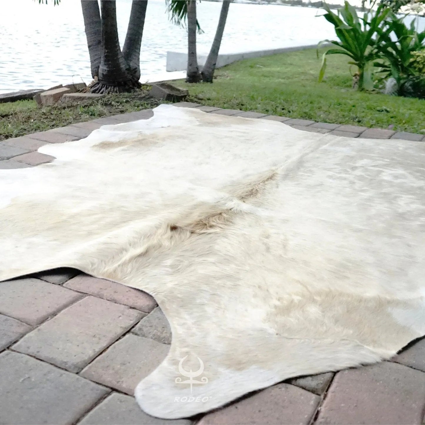 Brazilian Champagne Cowhide Rug