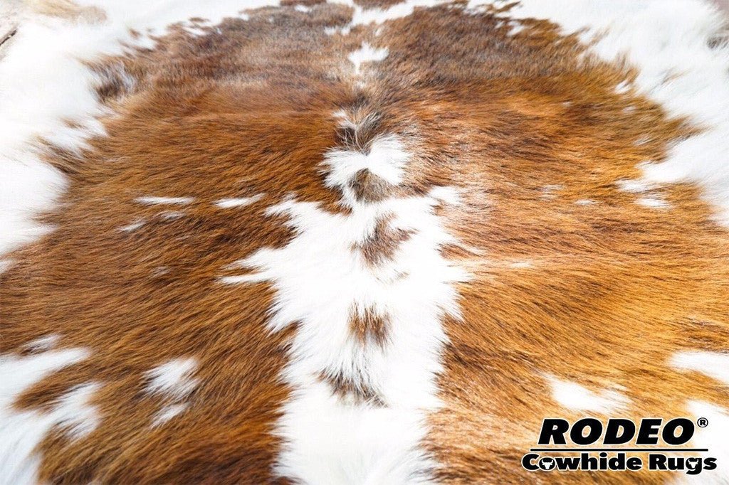 Brown and White Calf Skin - Rodeo Cowhide Rugs