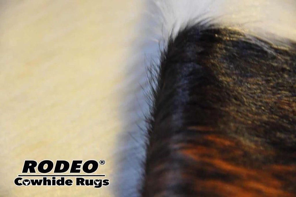 Dark Tricolor Cowhide Rug - Rodeo Cowhide Rugs5x6