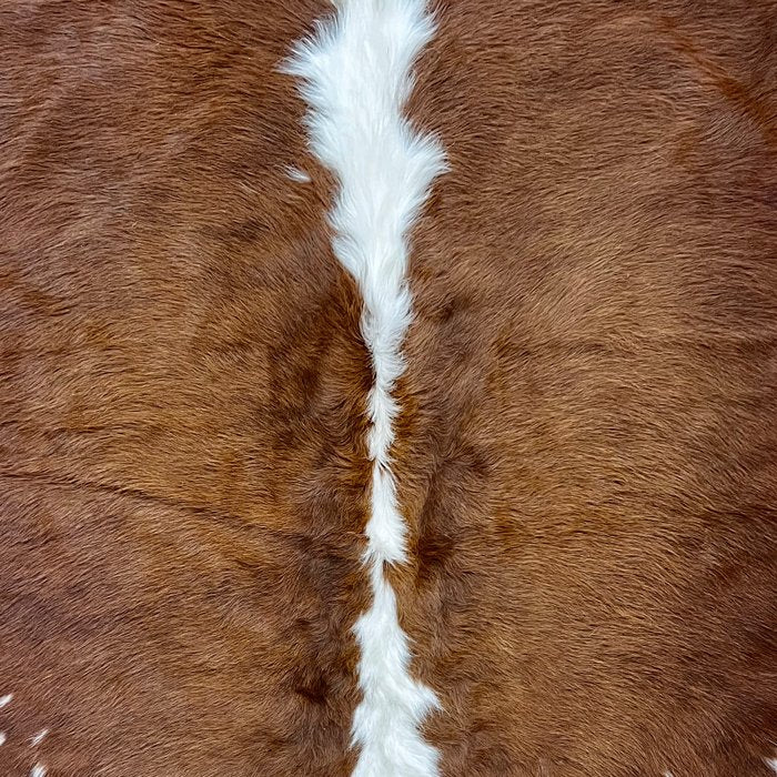 Extra Brown and White Cowhide Rug Size 5.7 x 5.9 ft - 4959 - Rodeo Cowhide Rugs