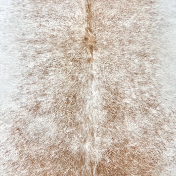 Extra Large Brazilian Beige and White Cowhide Rug Size 6.9x7.8 ft - 4730 - Rodeo Cowhide Rugs
