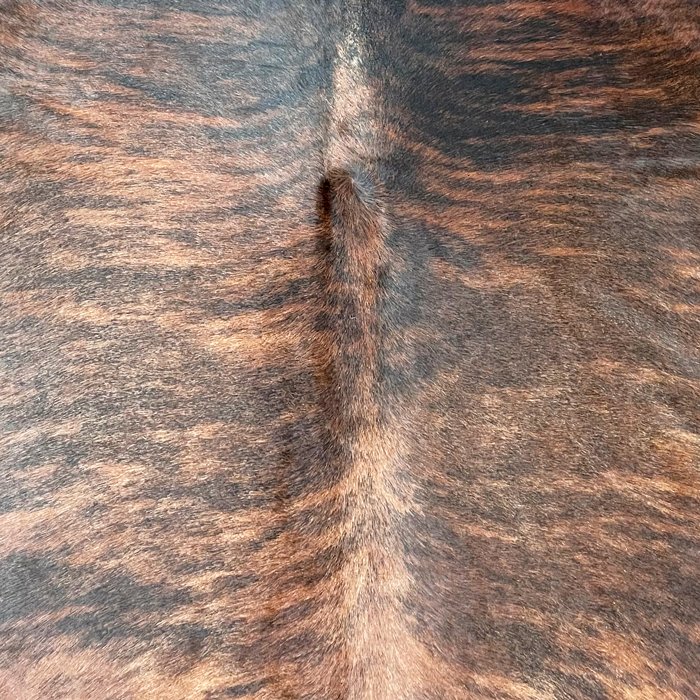 Extra Large Brazilian Brindle Cowhide Rug Size 6.8x7.8 ft - 4725 - Rodeo Cowhide Rugs