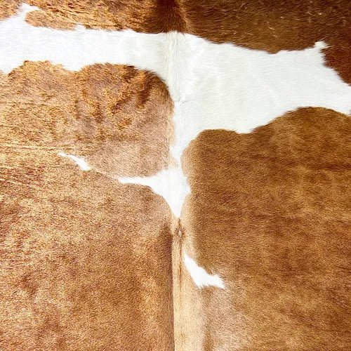 Extra Large Brown and White Cowhide Rug Size 6.10 x 8 ft - 5363Q