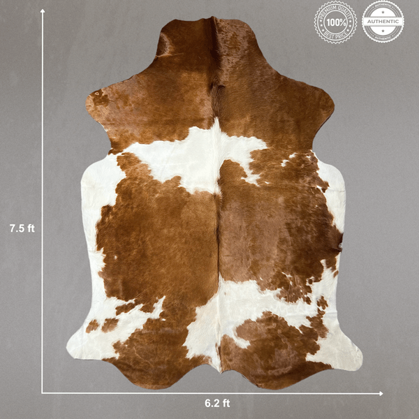 Extra Large Brown and White Cowhide Rug Size 6.2 x7.5 ft - 5385S