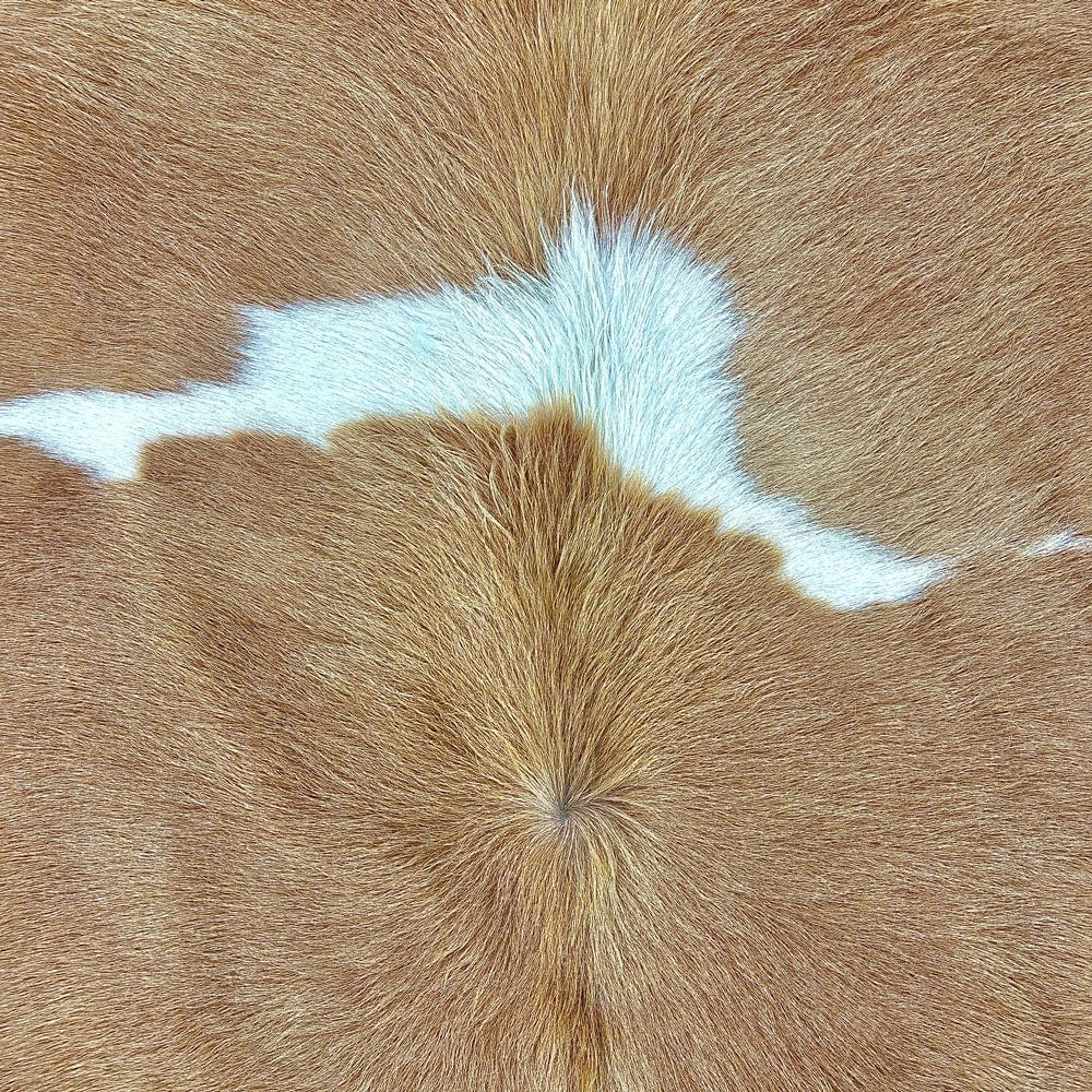 Extra Large Brown and White Cowhide Rug Size 7.4x6.8 ft---4652 - Rodeo Cowhide Rugs
