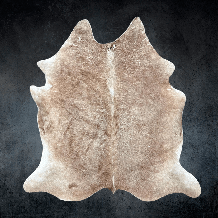 Extra Large Cowhide Rug Size 6.6 x 7.4 ft - 5071