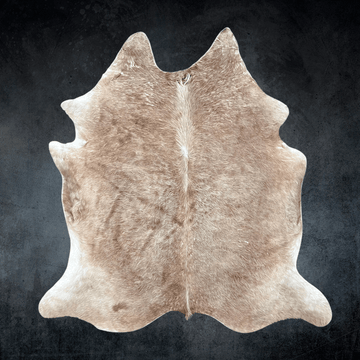 Unique Cowhide Rug Collection | Distinctive & Authentic Designs