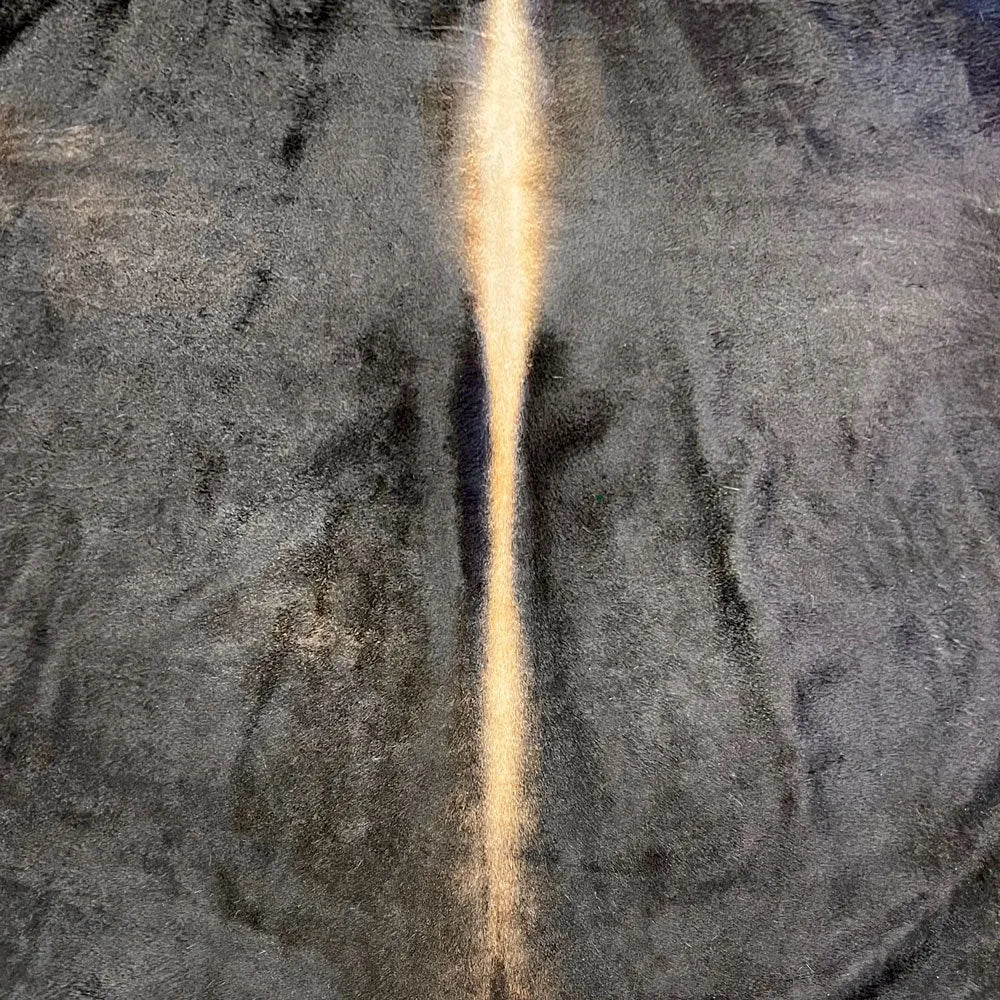 Extra Large Cowhide Rug Size 7x 7.7 ft - 5245