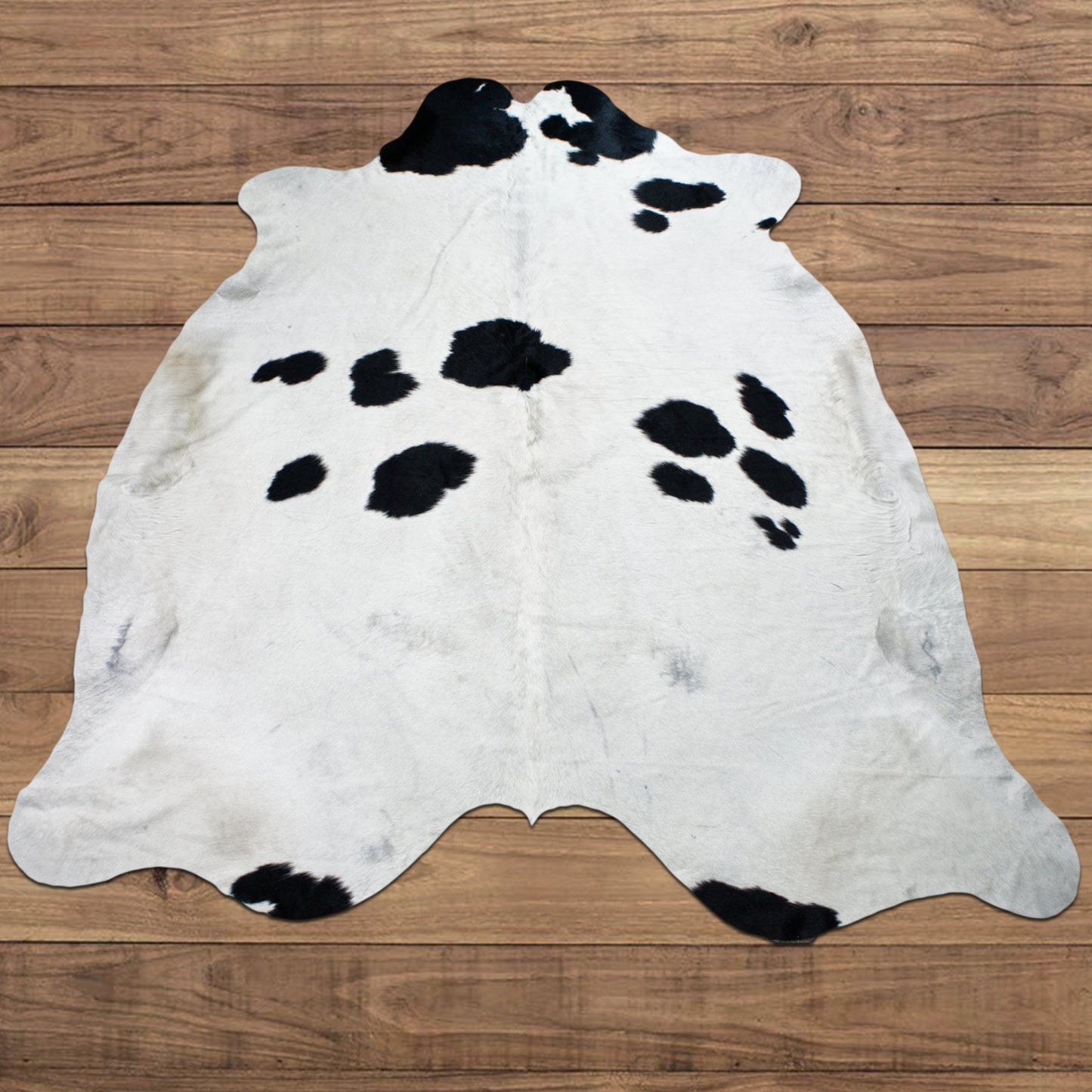Extra Large RODEO black spots cowhide rug 7.3 x 8.10 ft-- -4307 - Rodeo Cowhide Rugs