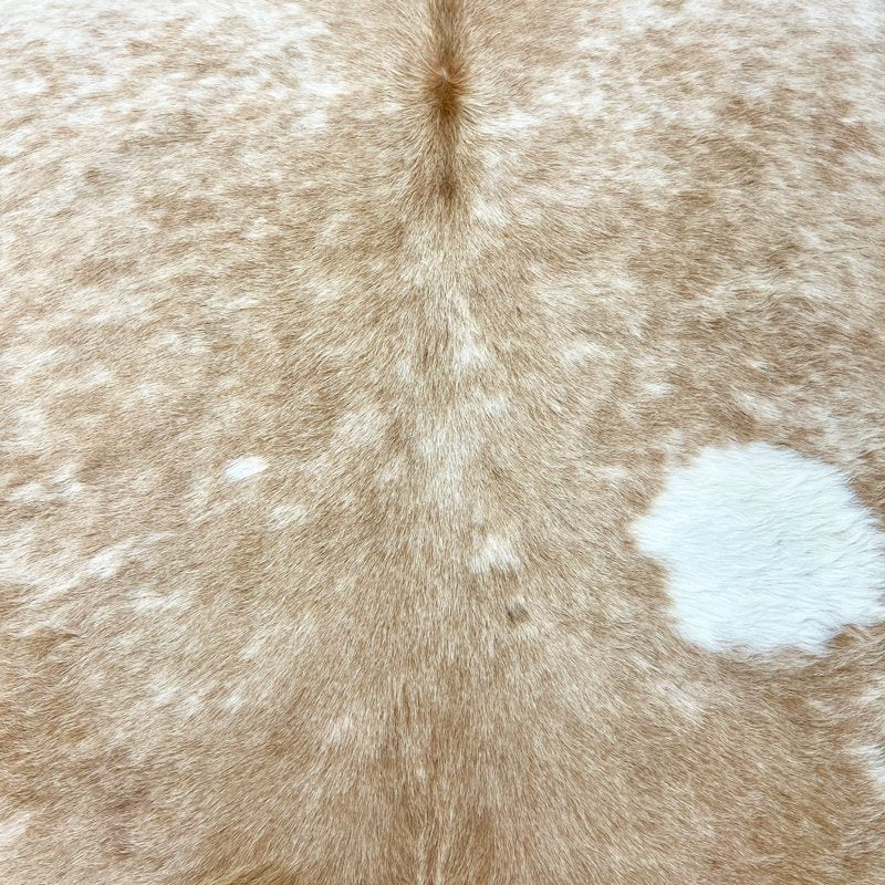 Extra Large Salt and Pepper Cowhide Rug Size 6.6x8 ft - 4723 - Rodeo Cowhide Rugs