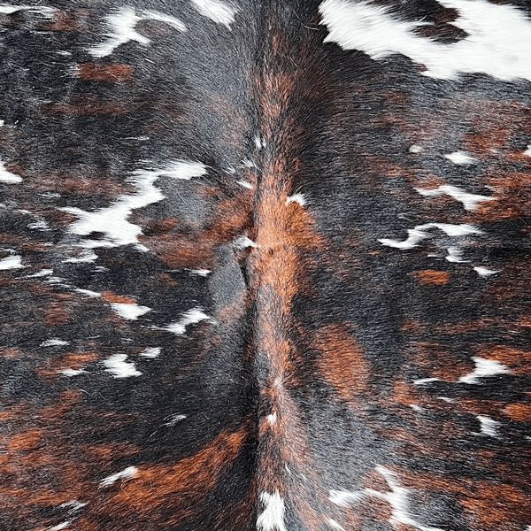 Extra Large Tricolor Cowhide Rug Size 6.9 x 8.4 ft - 5365Q