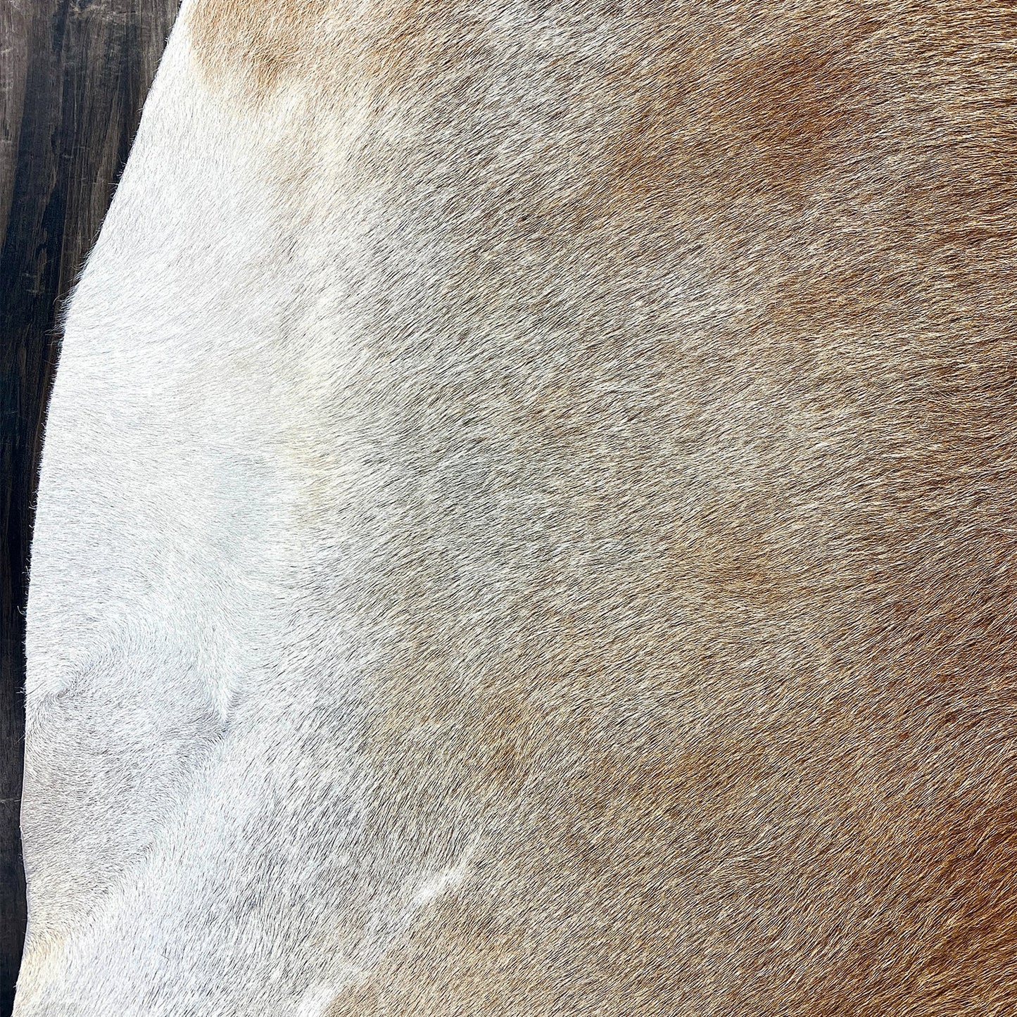 Gray Tan Large Cowhide Rug - Rodeo Cowhide Rugs