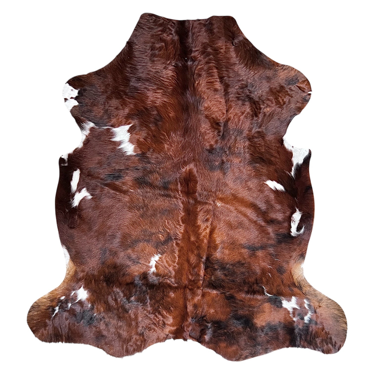 Large Brindle Cowhide Rug G268 - 6.1x6.6 ft