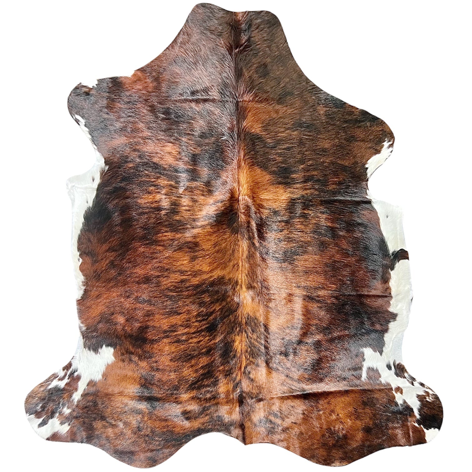Large Brindle Cowhide Rug L377 - 5.9x 6.3 ft