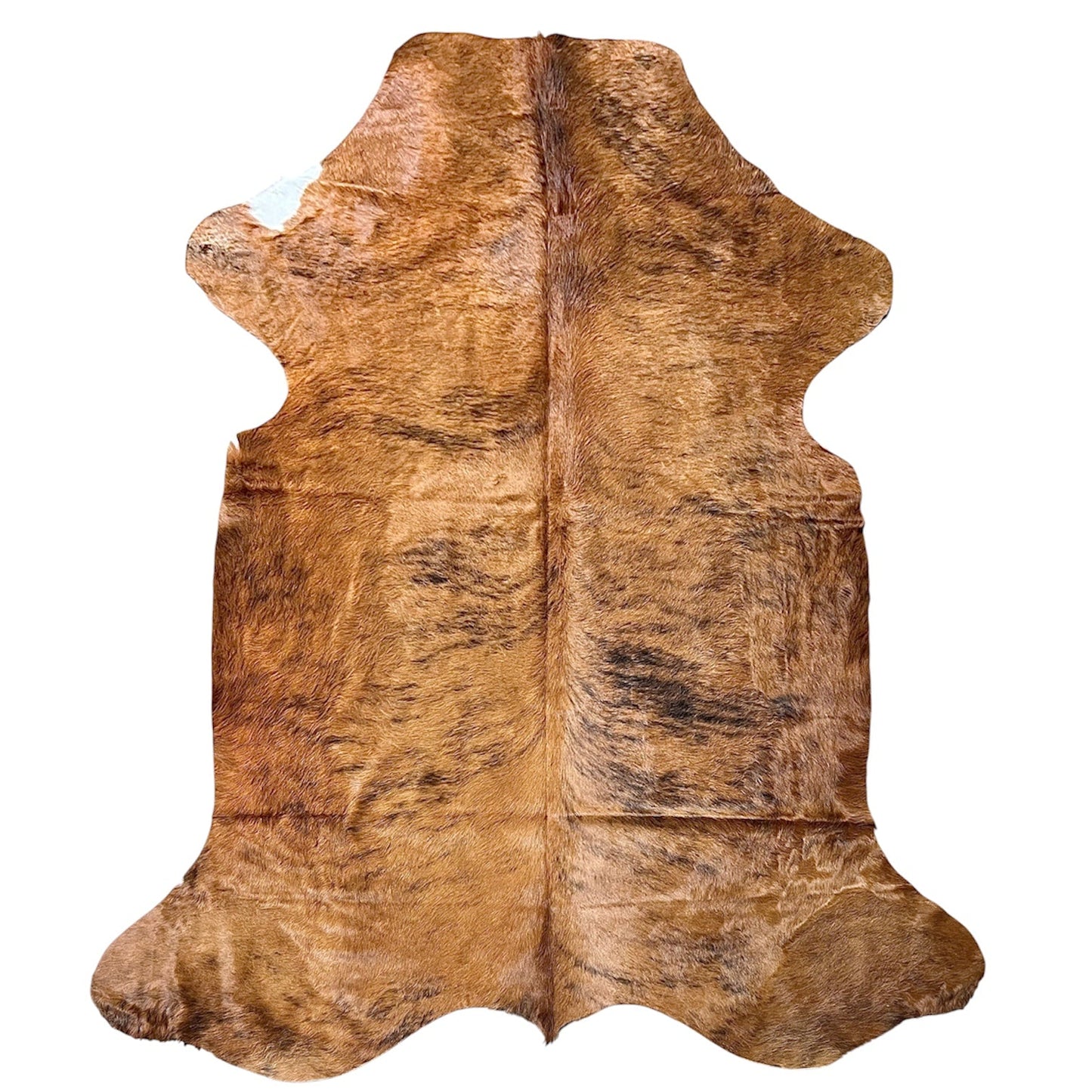 Large Brindle Cowhide Rug O532 - 6.2x 7.2 ft
