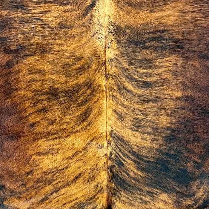 Large Brindle Cowhide Rug Size 5.5 x 6 ft - 5023