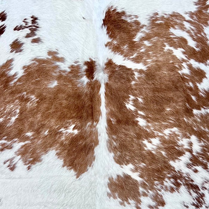 Large Brown and White Cowhide Rug Size 6.2 x 7.2 ft - 4947 - Rodeo Cowhide Rugs