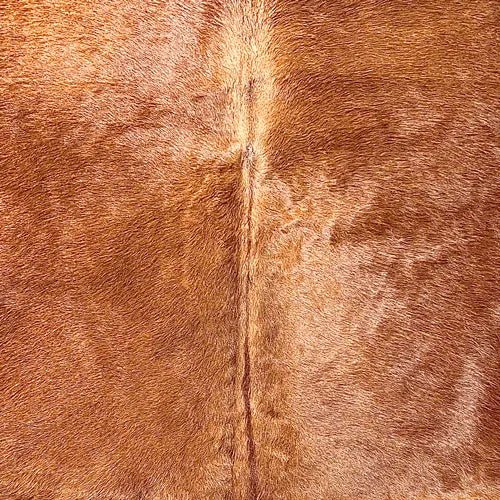 Large Brown Cowhide Rug Size 5.11 x 7 ft - 5367J