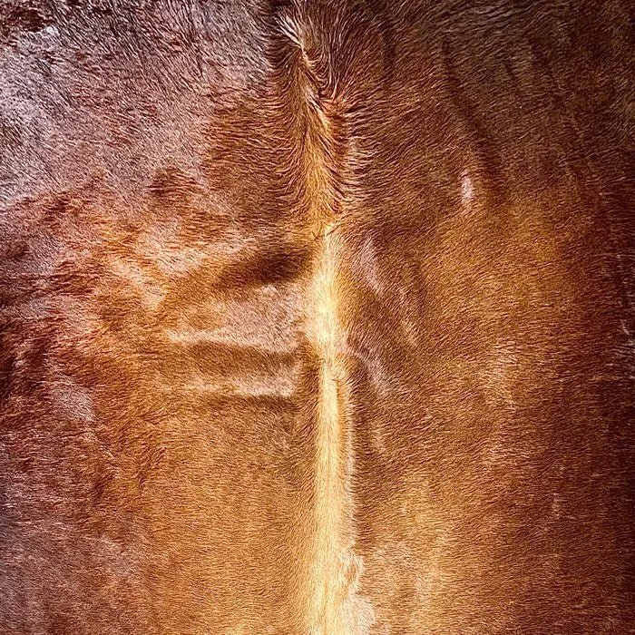 Large Brown Cowhide Rug Size 6.4x 7.3 ft - 5332J