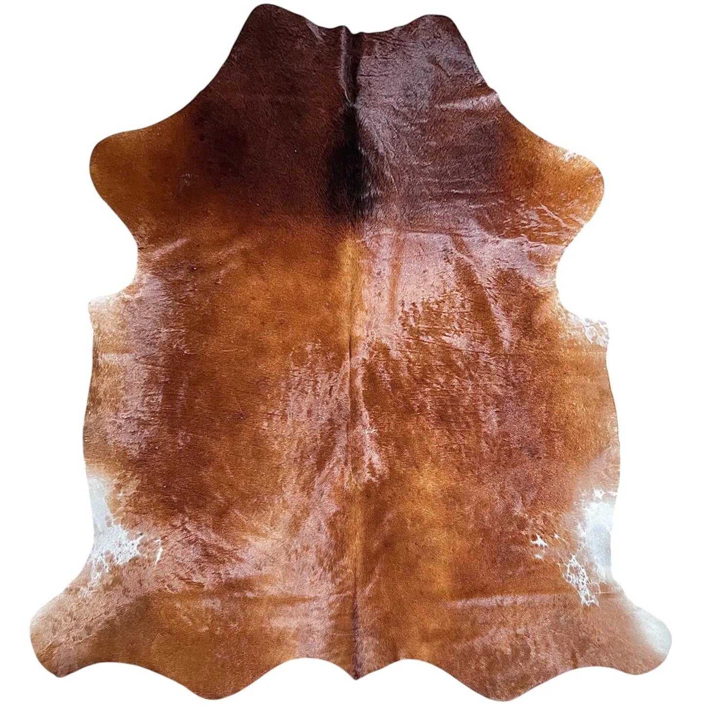 Large Cowhide Rug F243 - 6.7x7