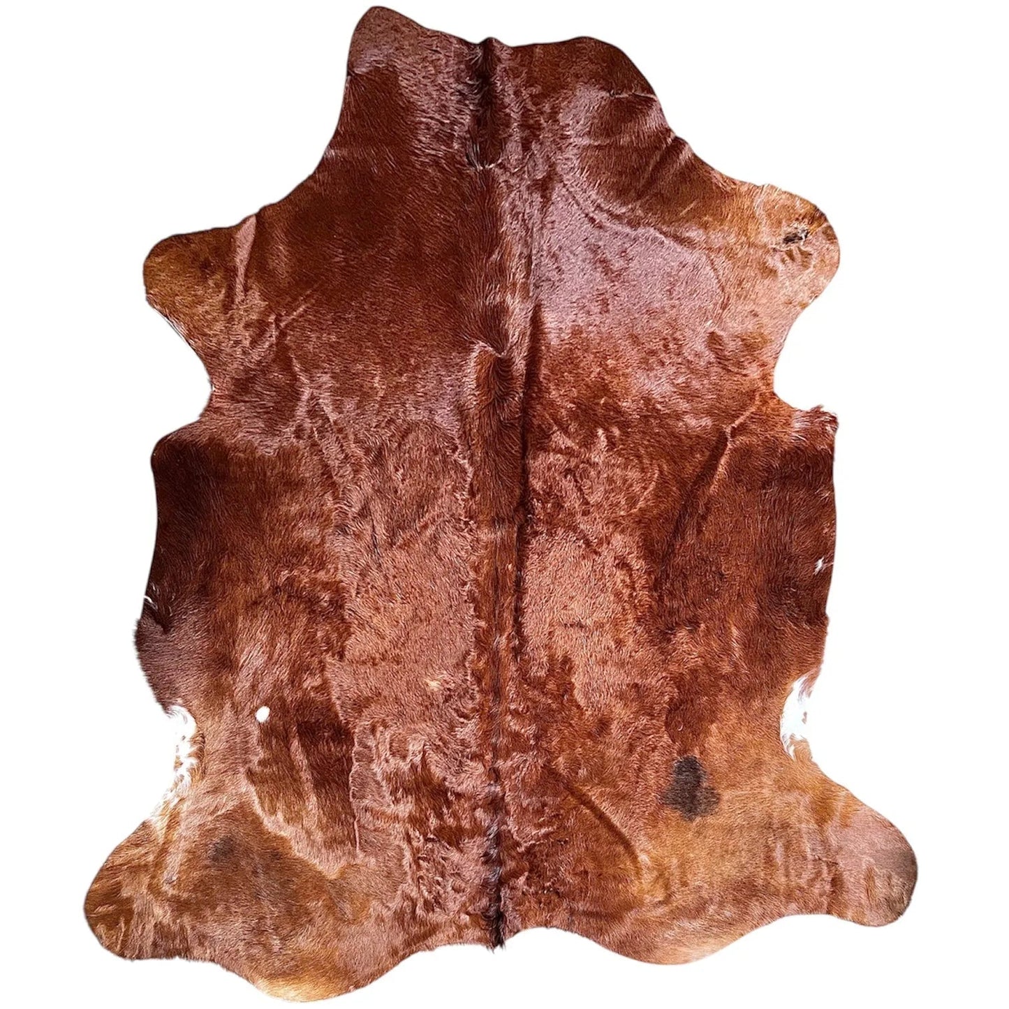 Large Cowhide Rug F245 - 6.3x6.11