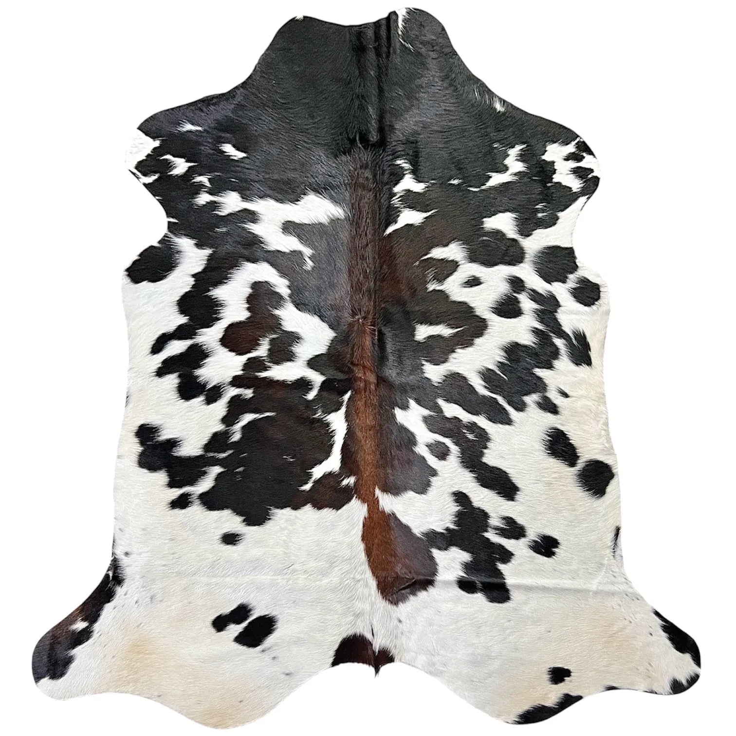 Large Cowhide Rug N501 - 5.9x 6.5 ft