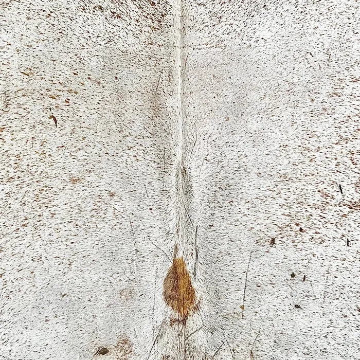 Large Speckled Cowhide Rug Size 5.11x 7.2 ft - 5305J