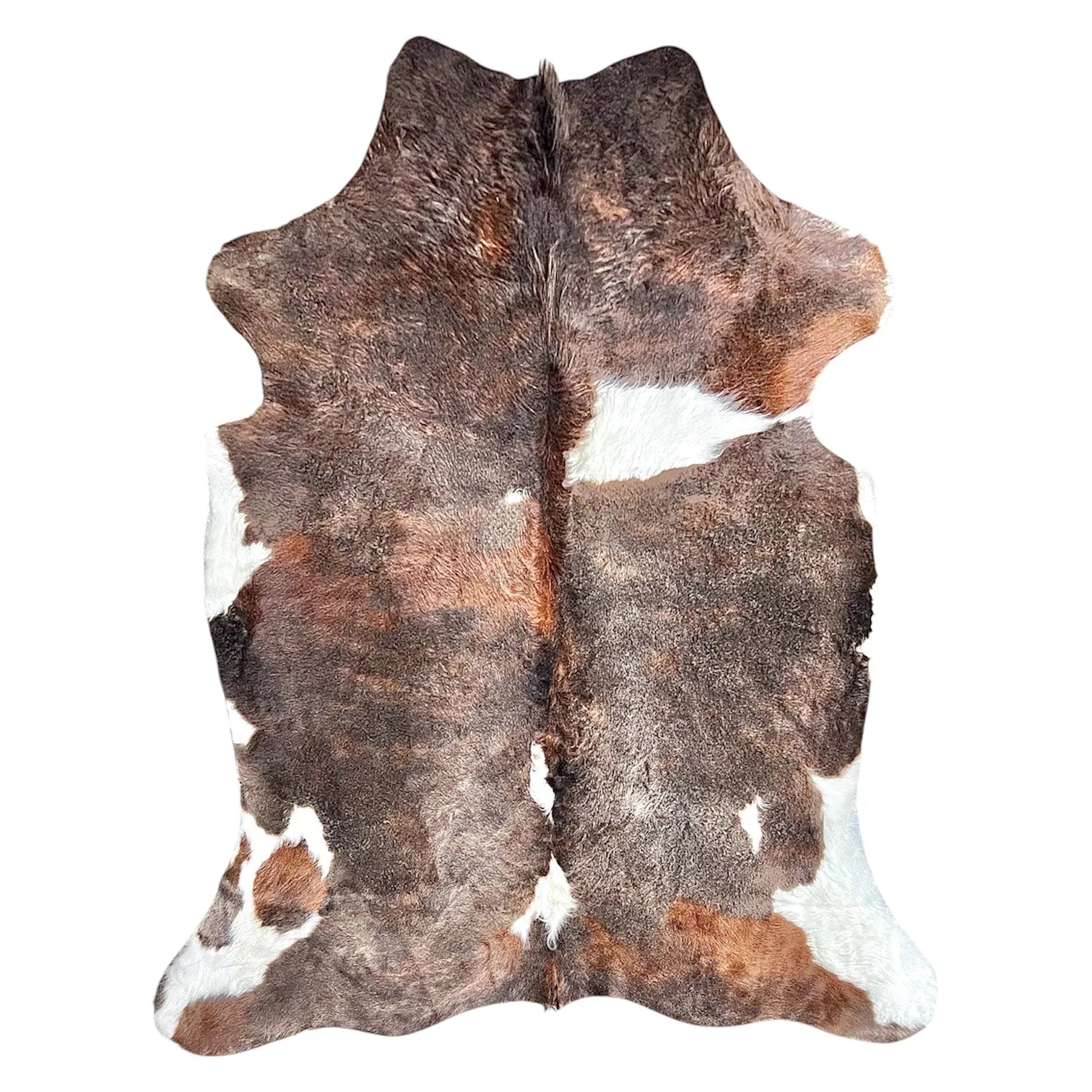 Large Tricolor Cowhide Rug H274 - 5.3x6.1 ft